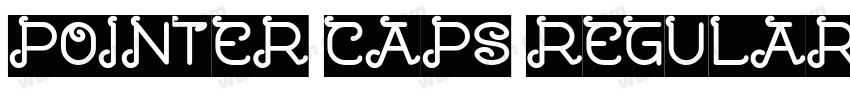 POINTER CAPS REGULAR字体转换